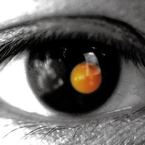 胖熊互吃大丁丁
